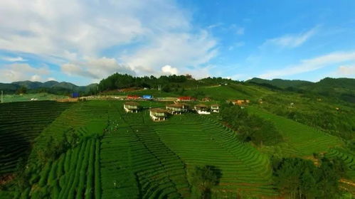 太美了！獨山凡間生態旅游項目強勢登陸北京文交會