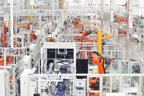 譚旭光 重錘鑿破供應(yīng)鏈壁壘，開拓工業(yè)旅游新藍(lán)海